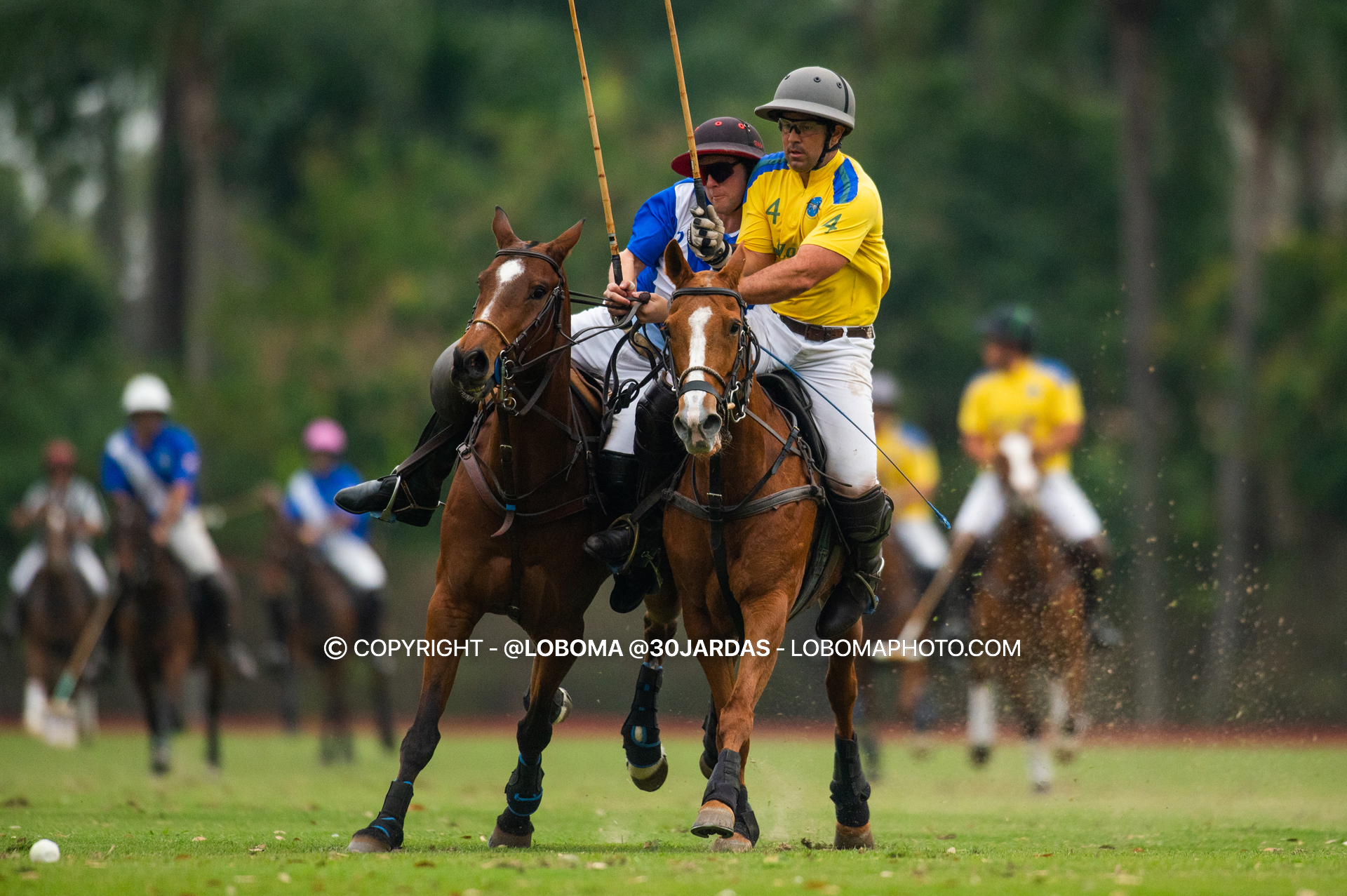 Brasil e Chile no amistoso de Sábado no Helvetia Polo (crédito - Marilia Lobo / 30Jardas)