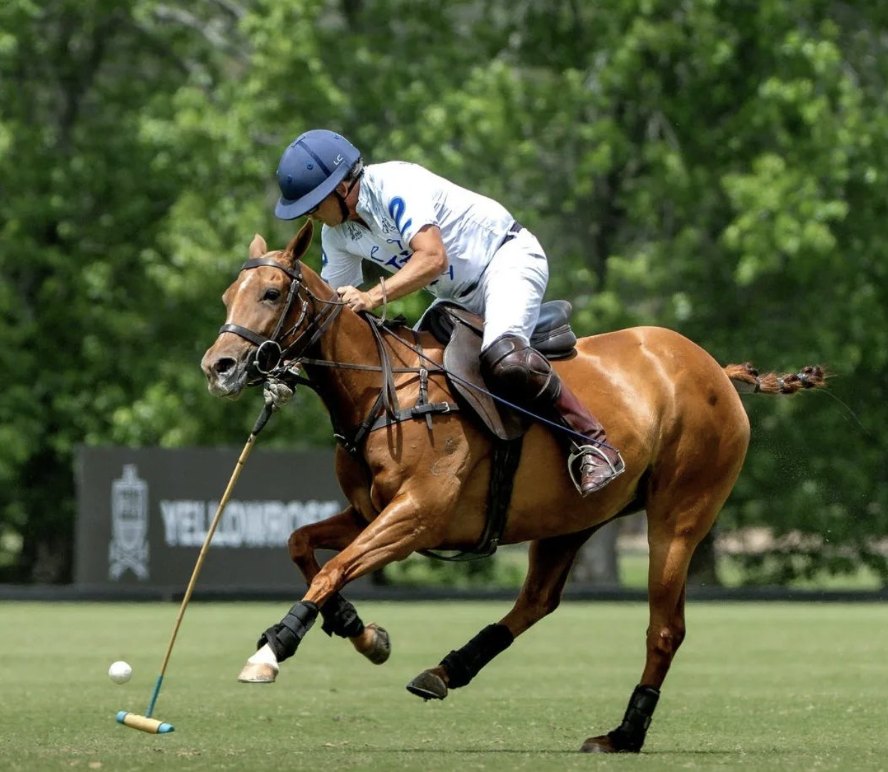 Luigi Cosenza na temporada argentina de 2023. (crédito - Helen Cruden / Hípica Polo)