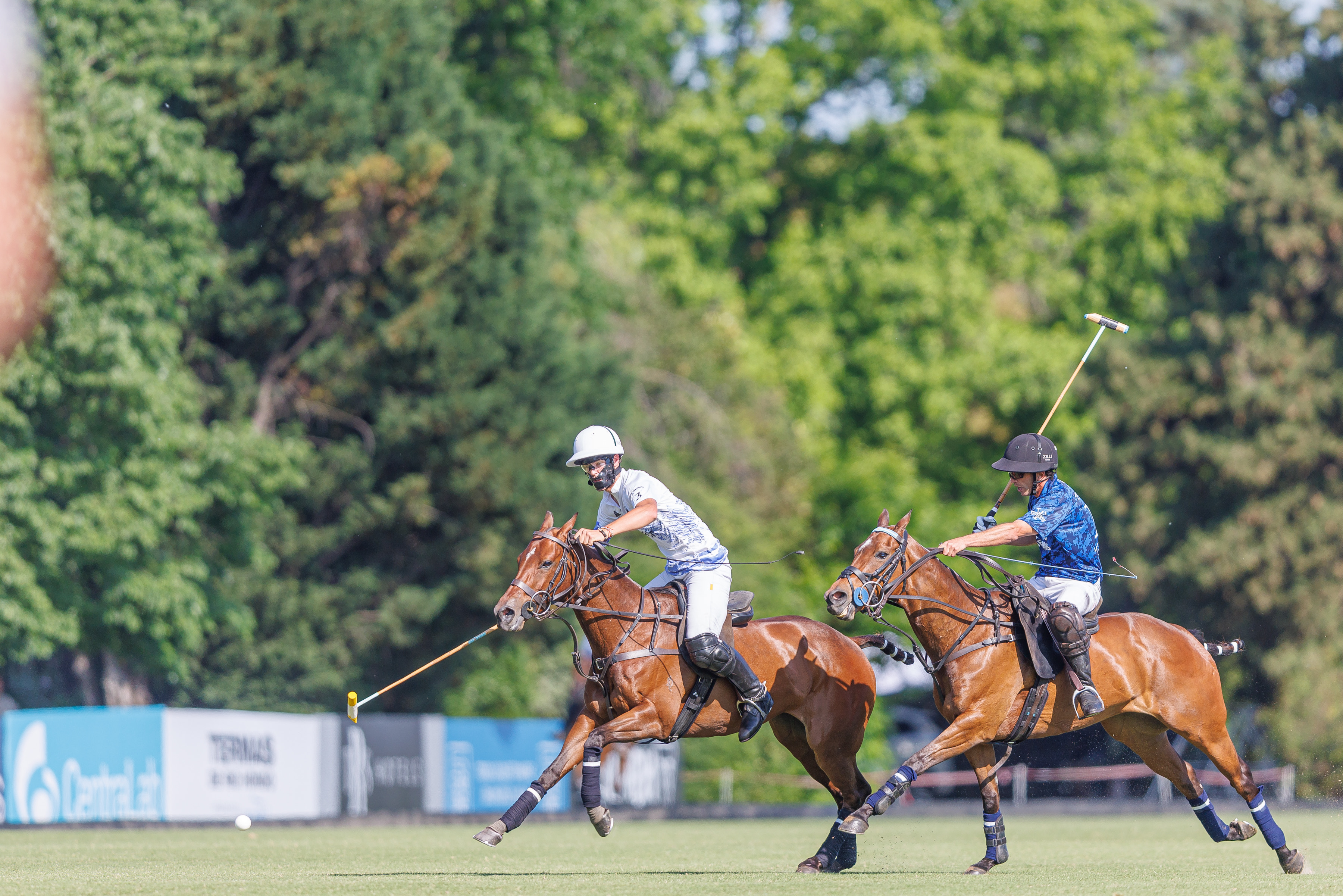 La Ensenada venceu La Dolfina e somou sua primeira vitória no torneio (crédito – Matías Callejo / AAP)