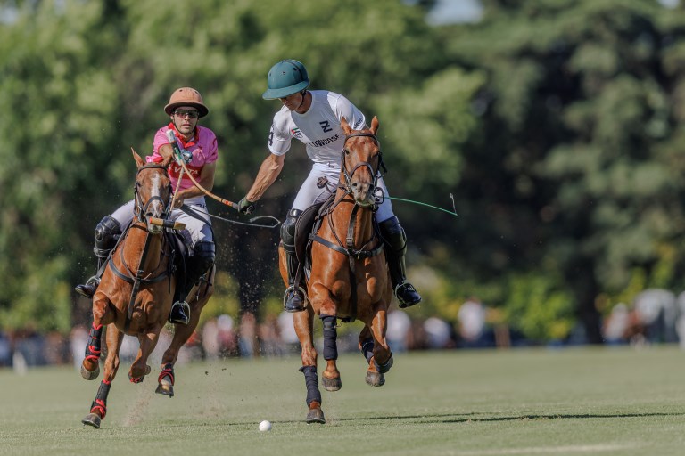 Ellerstina, de Nachi DuPlessis, é uma das finalistas do Aberto de Tortugas (crédito - Matias Callejo / AAP)